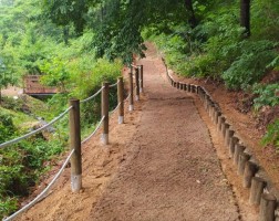 유아체험숲  산책로