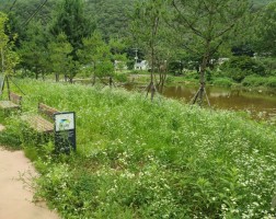 도장리 잠실공원 내 예초